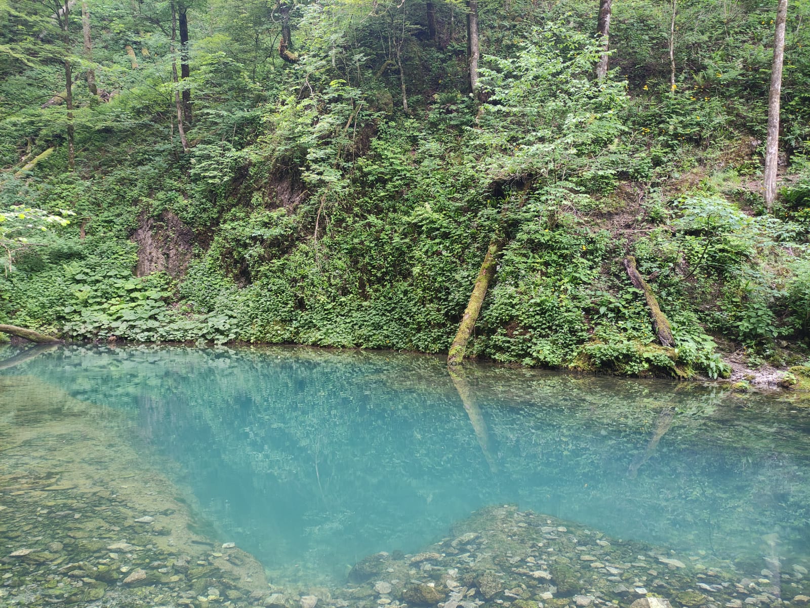 Izvor kanjona Kamačnik u Gorskom kotaru