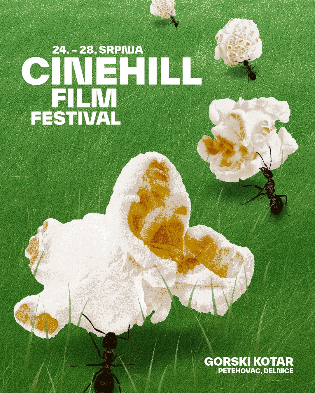 Cinehill Motovun film festival Poonkt agencija