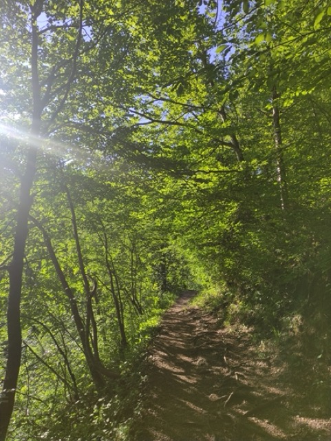 Kamačnik Gorski kotar