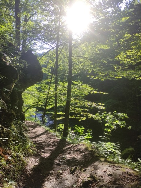 Kamačnik Gorski kotar