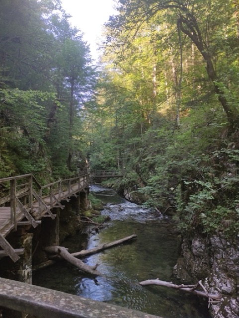 Kamačnik Gorski kotar
